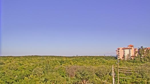 Weather camera view of WTSP-TV.