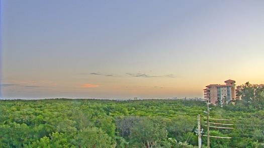 Weather camera view of WTSP-TV.