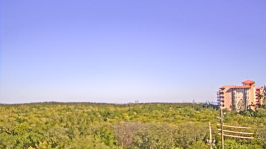 Weather camera view of WTSP-TV.