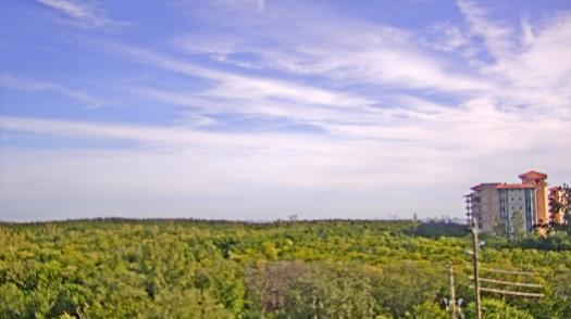 Weather camera view of WTSP-TV.