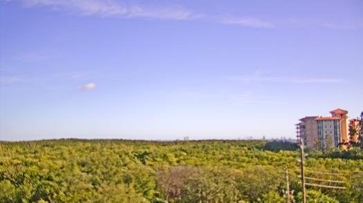 Weather camera view of WTSP-TV.