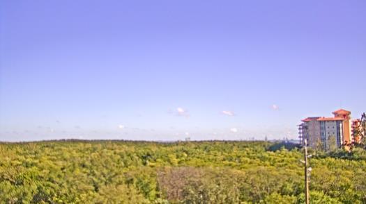 Weather camera view of WTSP-TV.