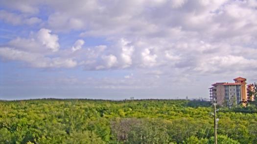 Weather camera view of WTSP-TV.