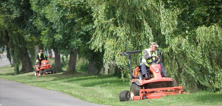 Courtesy Michael Trolove and Wikimedia Commons