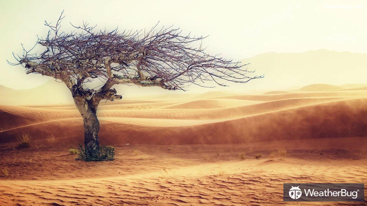 Drought via Pixabay