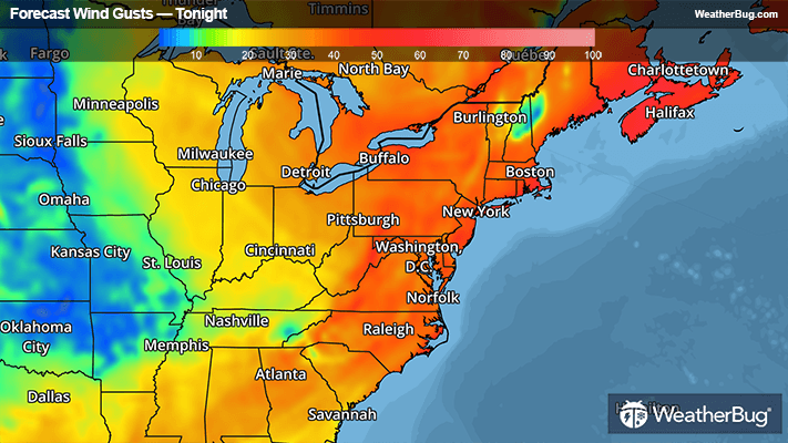 Peak wind gusts for tonight.