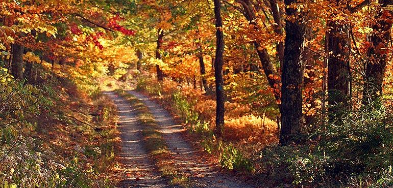 On the autumn mountain road. (ForestWander via Wikimedia)