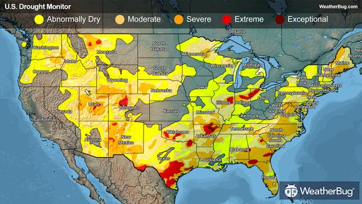 Weekly Drought Map for January 22, 2026