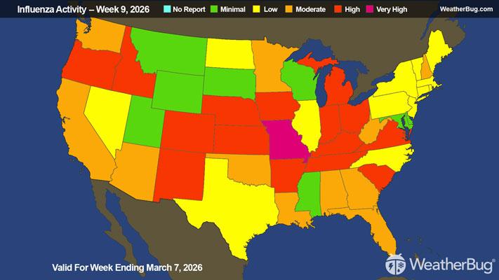 Flu Update Valid For Week Ending March 7, 2026