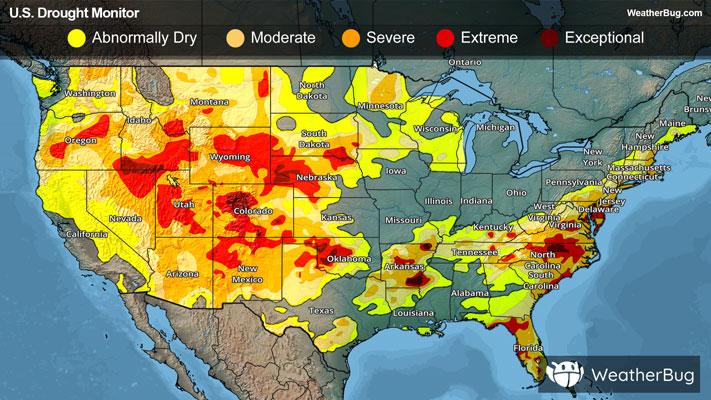 Drought Monitor for June 25, 2026