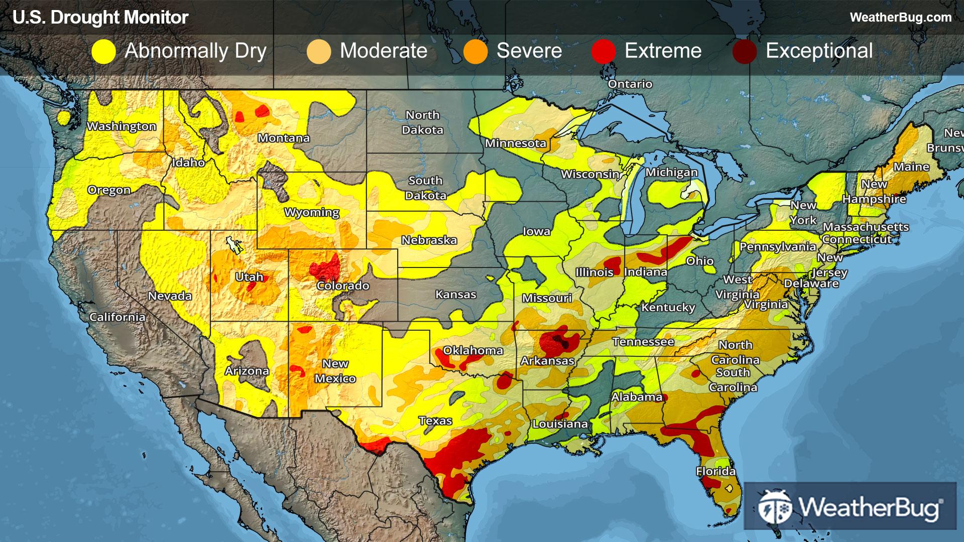 Weekly Drought Map for February 5, 2026