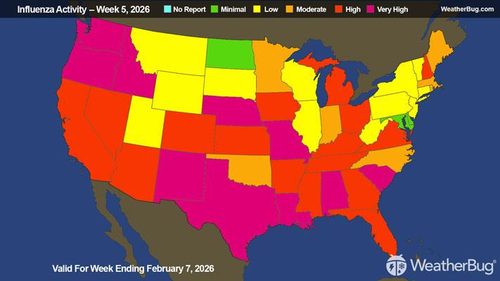 Flu Update Valid For Week Ending January 31, 2026