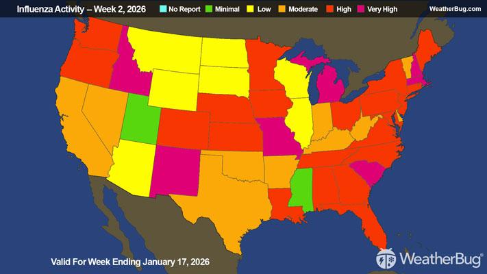 Flu Update Valid For Week Ending January 17, 2026