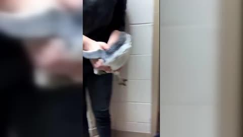 Penguin Chicks Enjoy First Swim at Zoo