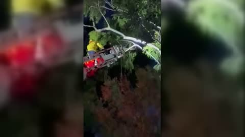 Injured Hawk Saved From Tree as Strong Winds Hit Orange County
