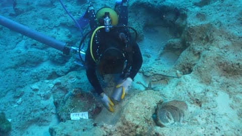 Worlds Oldest Shipwreck Uncovered in Turkish Waters