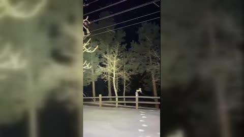 Residents Wake Up to Snowfall in Colorado