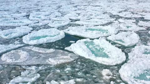 Stunning Ice Pancakes Cover Lake Michigan