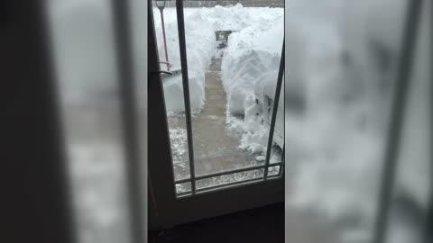 Storyful 338340 Owner Creates Impressive Tunnel System for Dogs in Long Island Snow