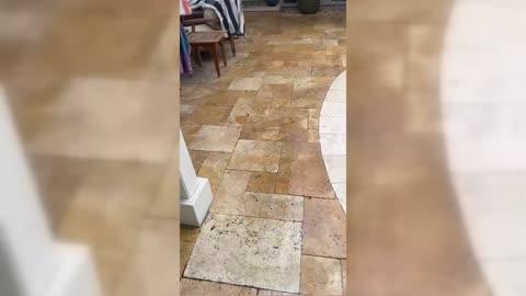 PeaSized Hail Blankets Bay Area Yard