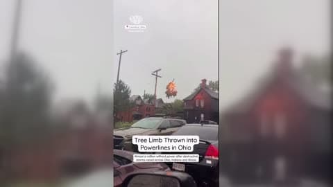 Tree Limbs Thrown Onto Power Limbs